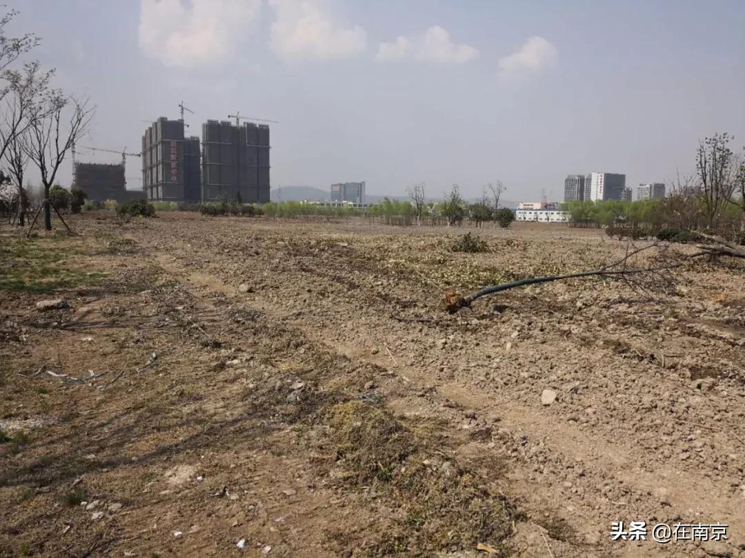 南京南工大板块值得投资吗,南京南工大板块怎么样