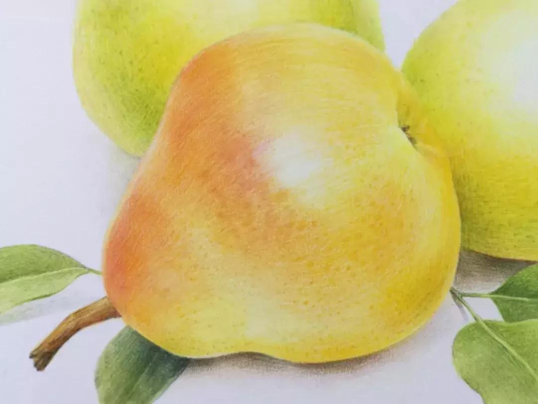 香梨彩铅画,彩铅肉肉的画法