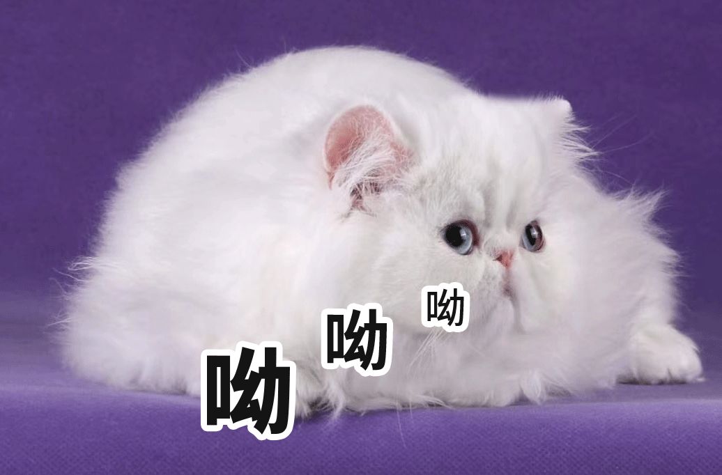 超越一线城市,檀檀楼市最新消息