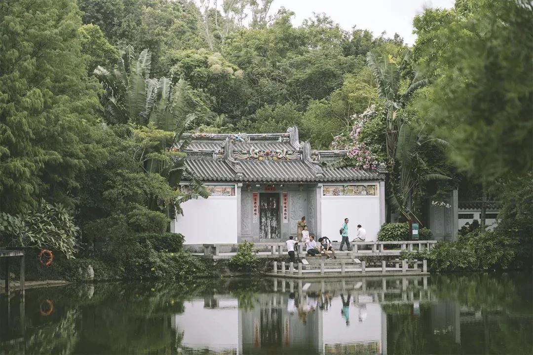 2021深圳免费适合遛娃玩地方排名,深圳免费游玩景点推荐