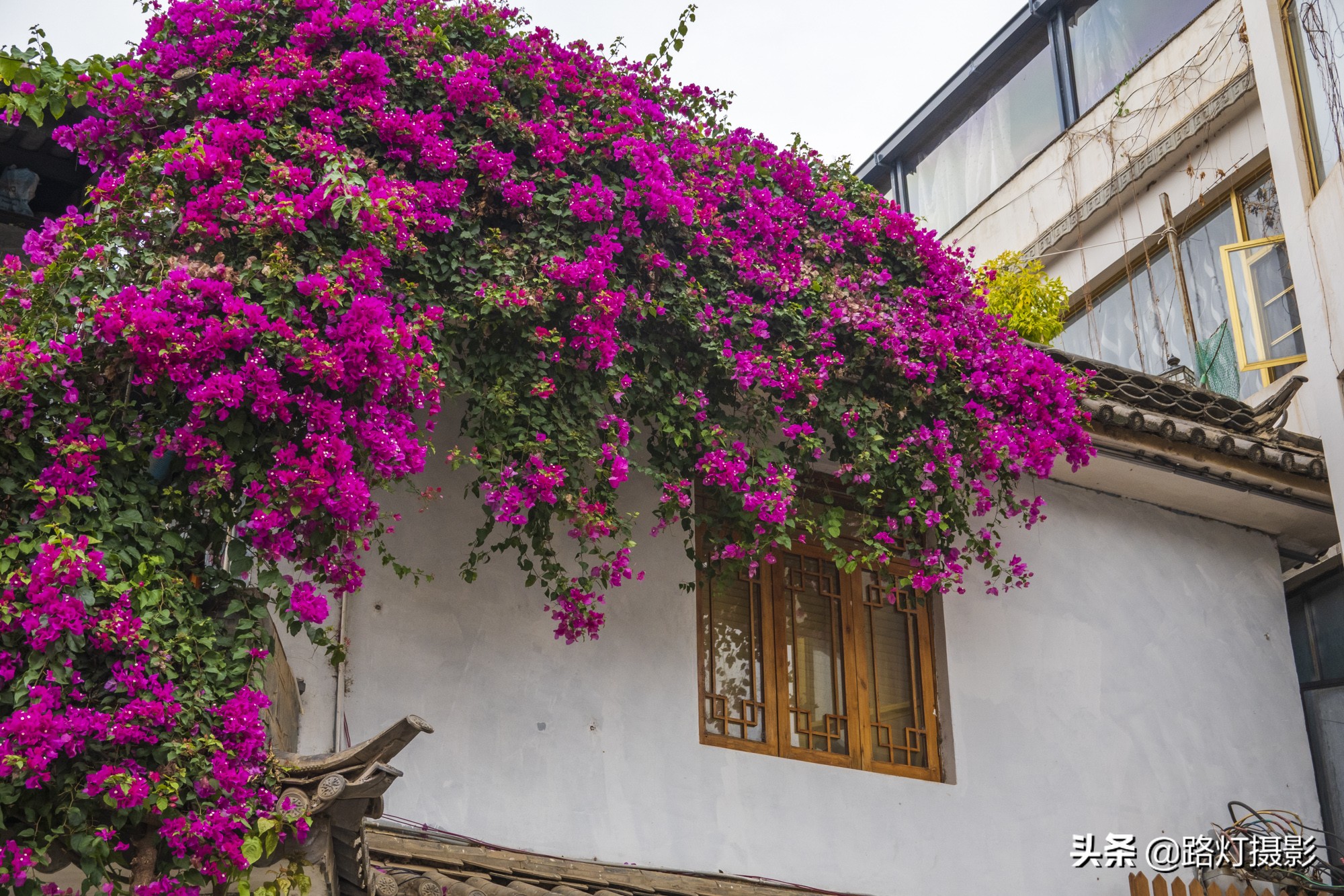 双廊古镇杨丽萍太阳宫夜景,杨丽萍住的双廊古镇
