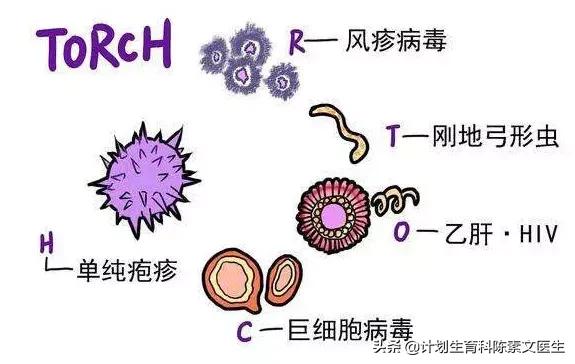 胎停育亲身经历,写给保胎路上的姐妹们