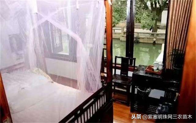 蓟州紫塞明珠农家院,紫塞明珠丰宁农家乐