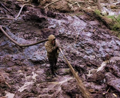 猛犸象带来什么病毒 (史前猛犸象被冰冻)