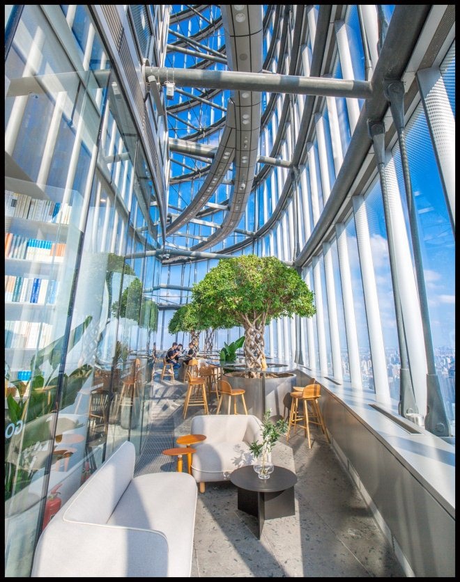 奈雪的茶拟在港上市,奈雪的茶上市喜茶