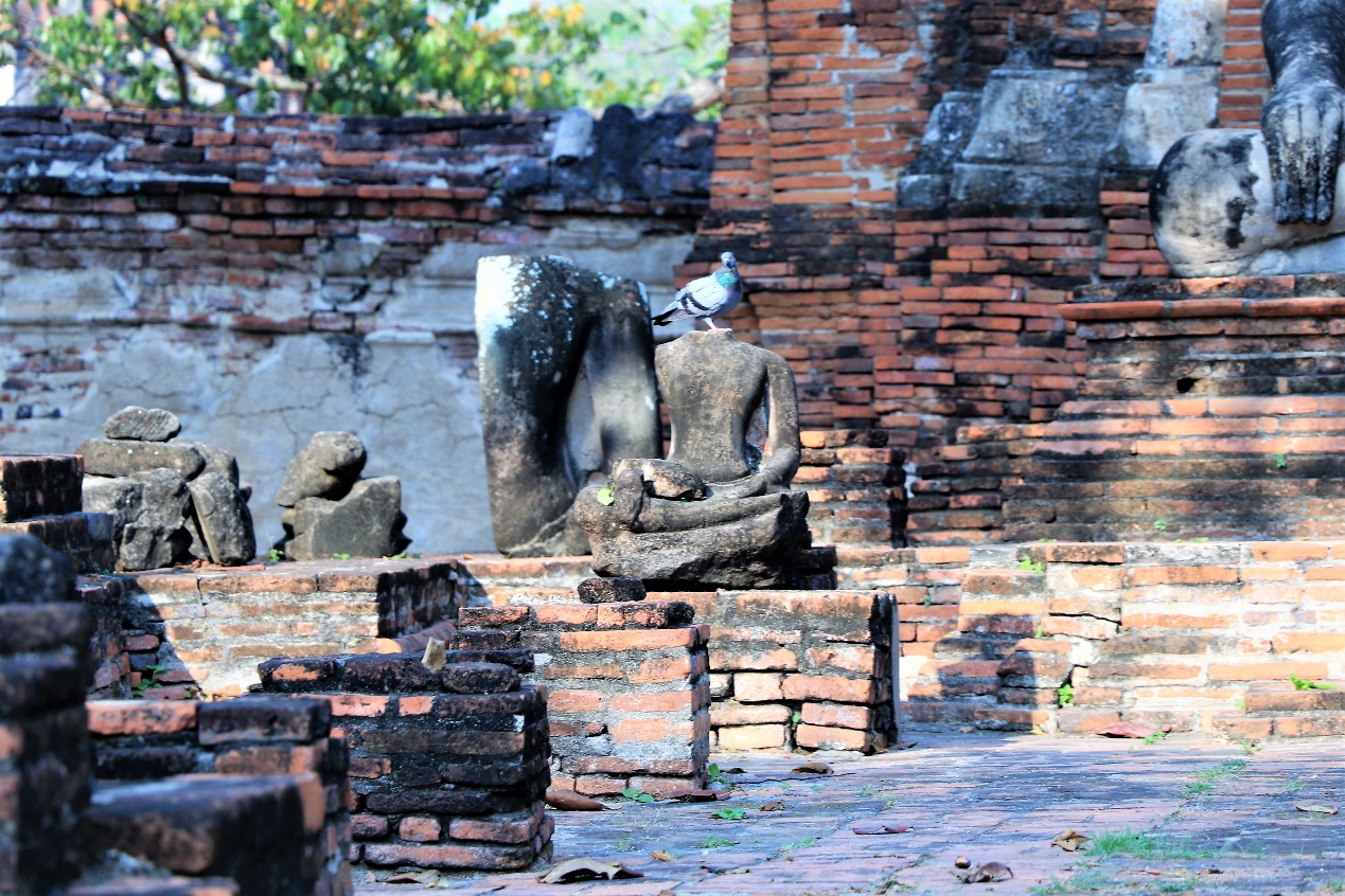 穿越泰国王朝，诉说大城小事/大城府篇