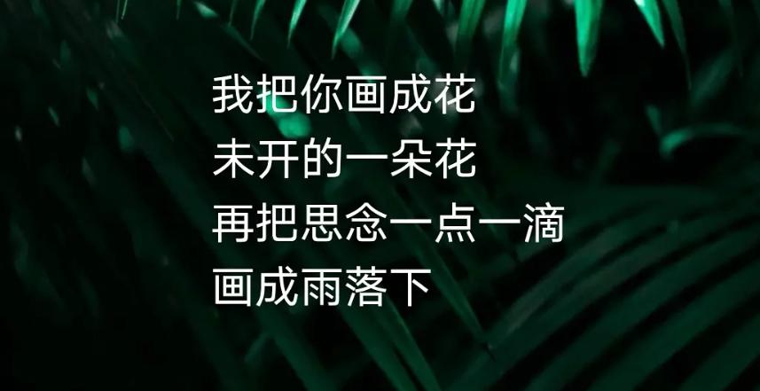 笑到头掉的空耳，我也是个复杂的冬菇？嘴上一直代购？鸡你太美？