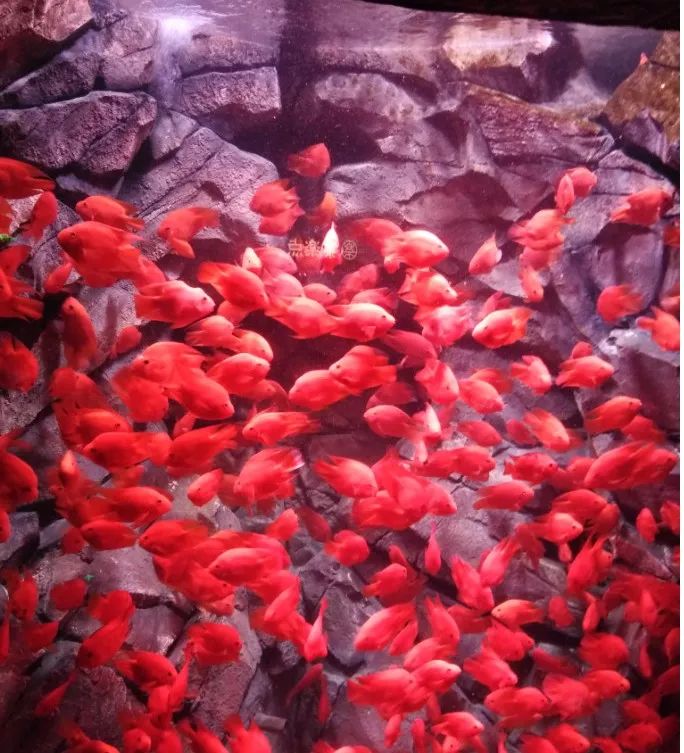 长沙市发布高温黄色预警,黄色高温预警是多少度