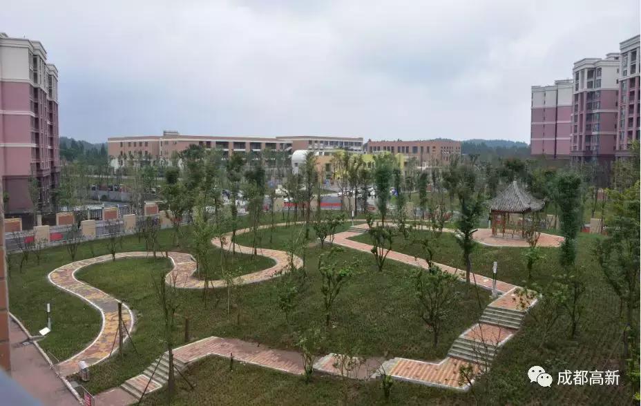 致敬岁月，未来可期！穿越30年带你看成都高新30个第一