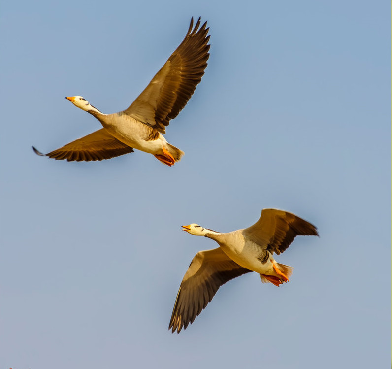 一首经典流行歌曲，差点毁掉两首流传千古的诗词
