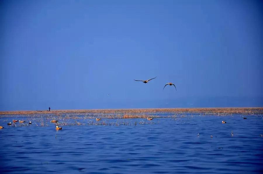 春节旅游贵州自由行最佳去处,贵州春节旅游攻略自由行线路推荐