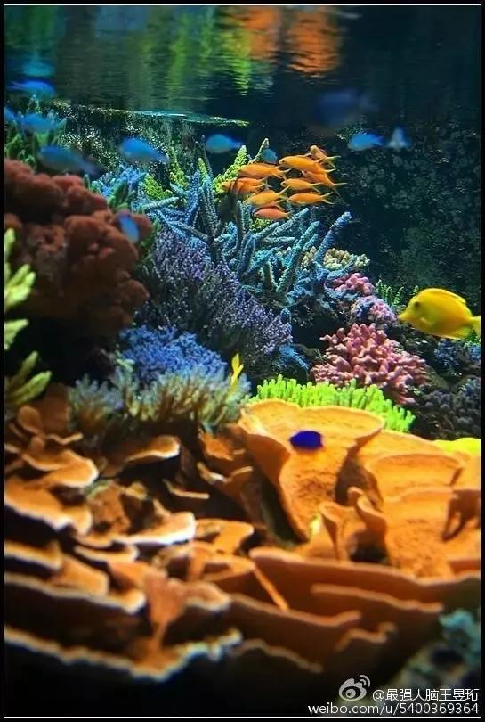 王昱珩不上班做到财富自由,最强大脑王昱珩清华毕业后不上班