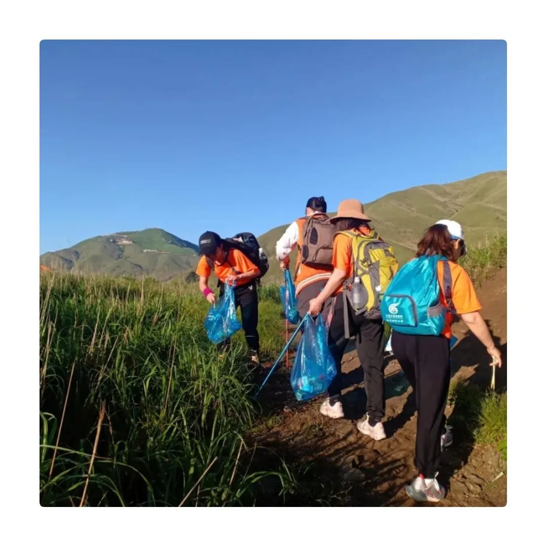 落实垃圾分类主要靠法律还是教育,践行垃圾分类小视频