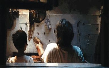 一只它=40多种细菌！你家也藏了有，衣服食物千万别沾上