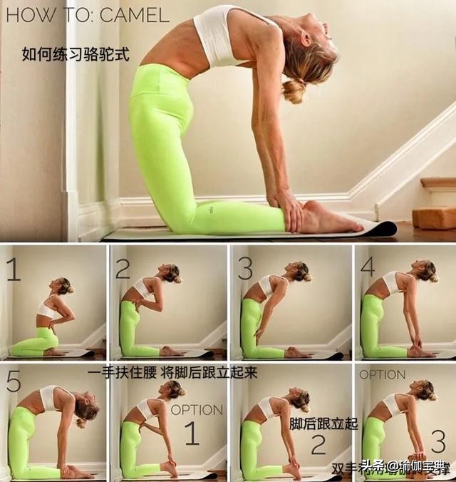 12星座最佳瑜伽动作女,12星座适合做什么瑜伽