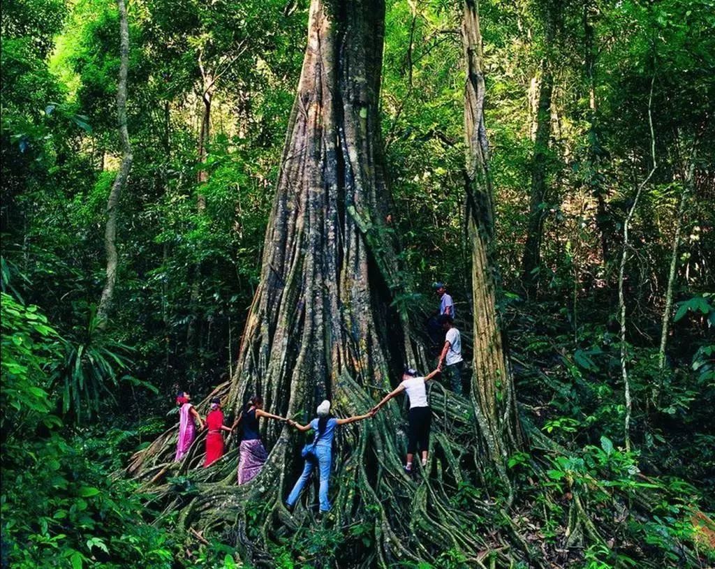 景洪市勐龙镇概况,景洪市夏季气温概况