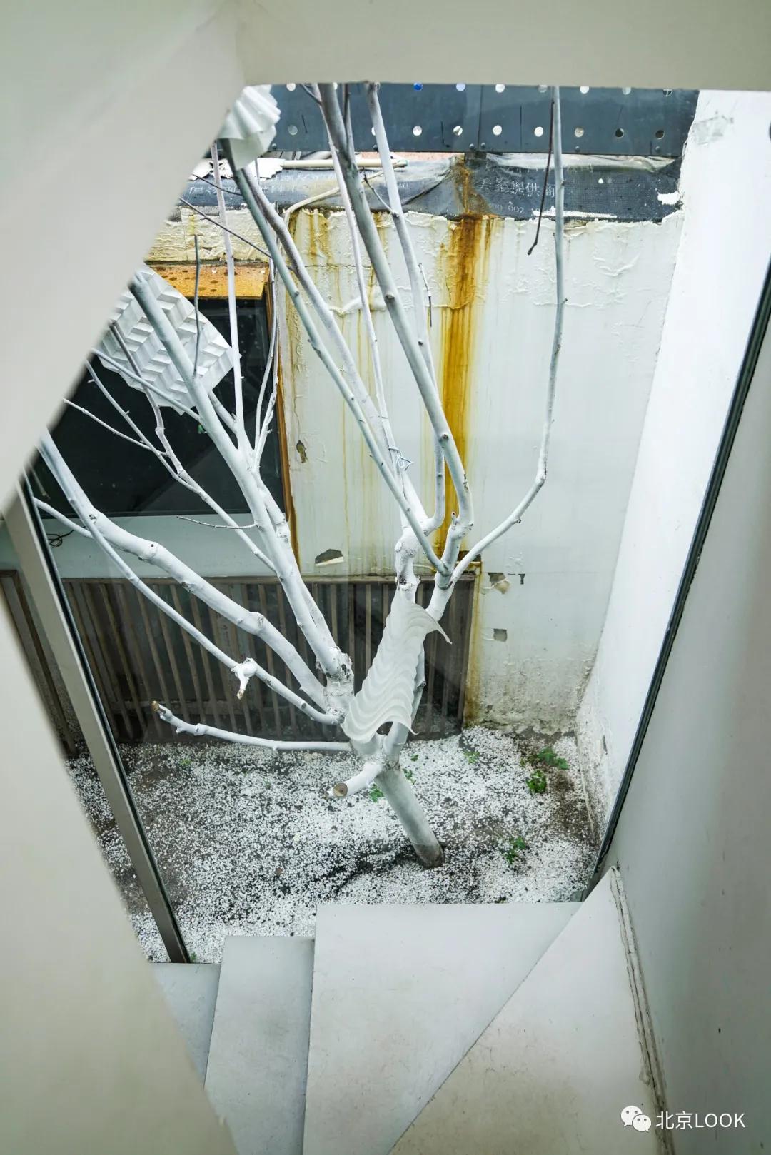 北京潮玩咖啡馆,北京精品咖啡馆探店