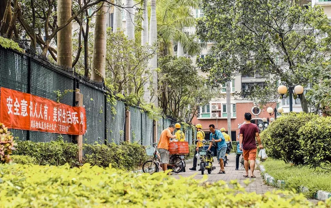 附近莲塘,附近的莲塘