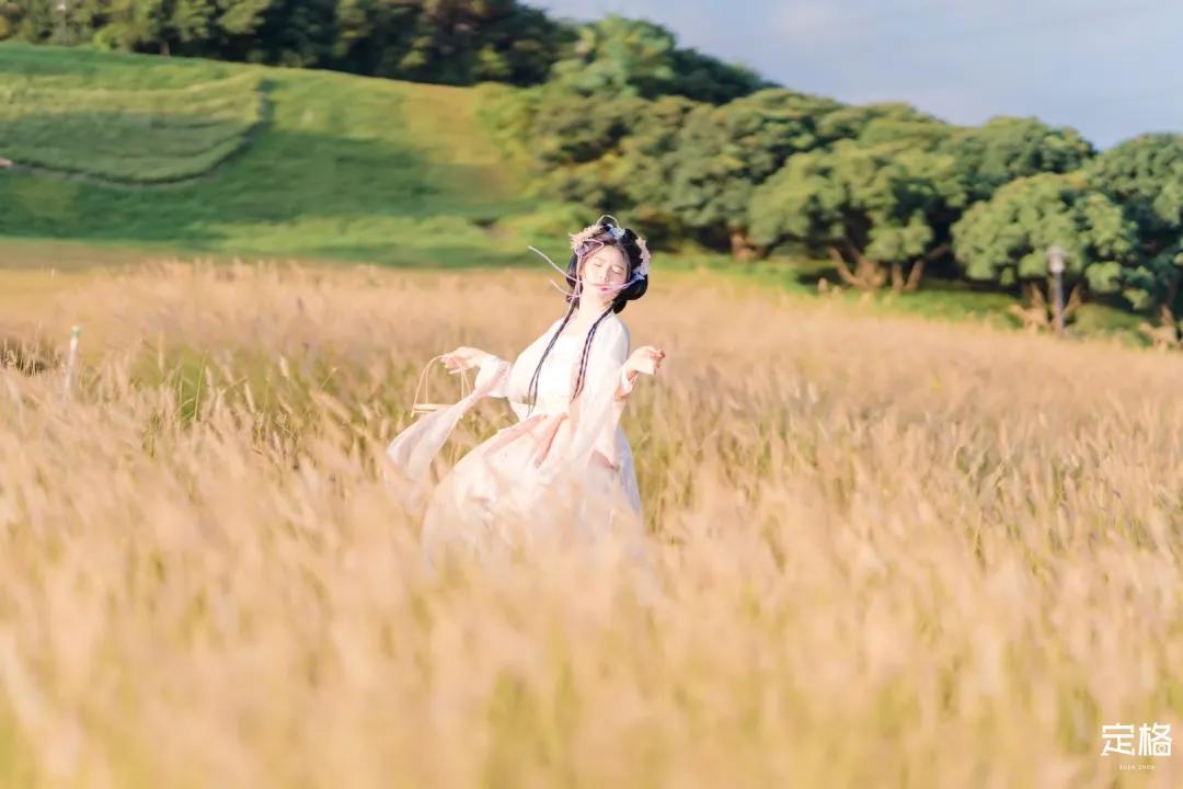 深圳周末打卡地点排行榜,深圳秋季打卡攻略