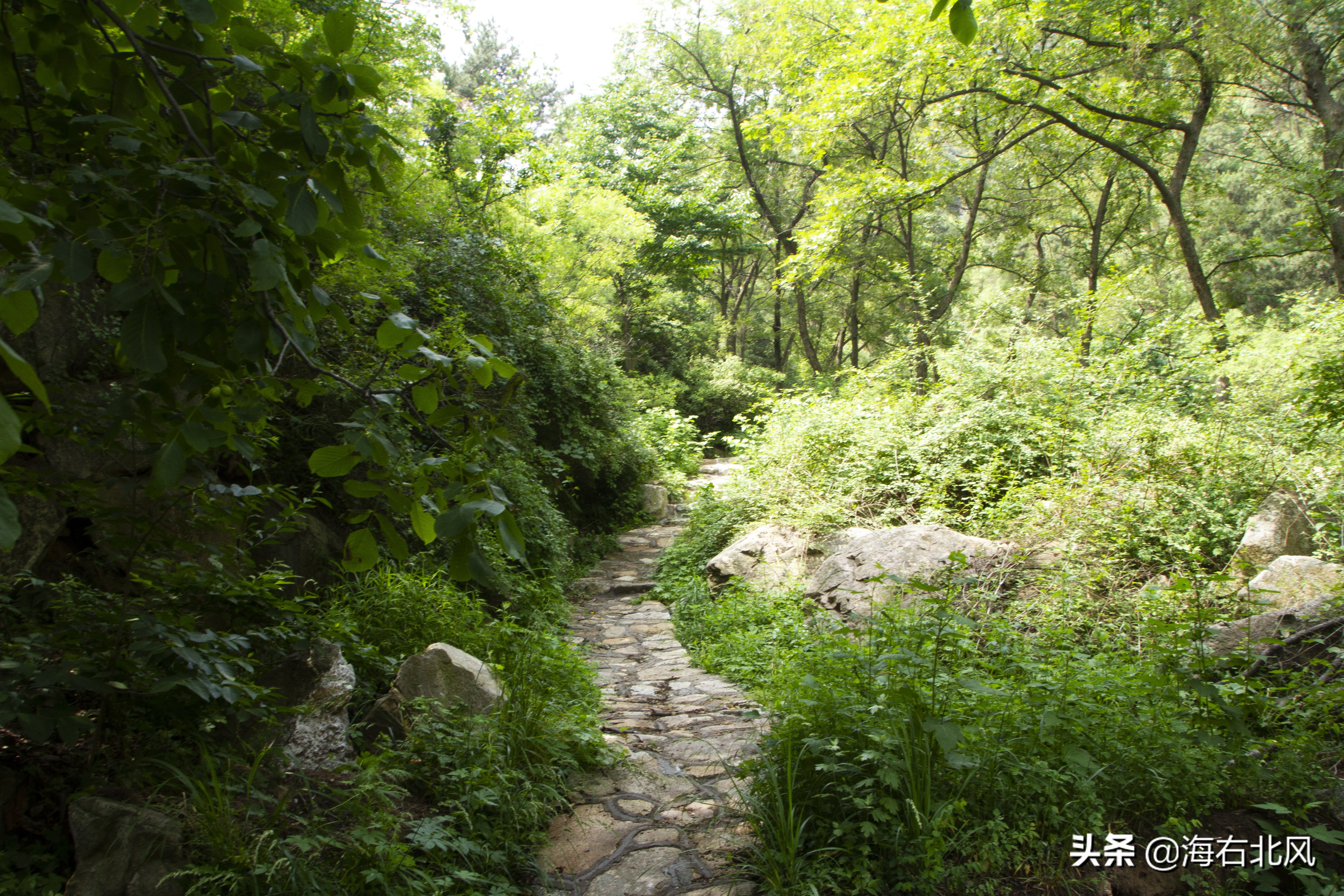 藕池镇有玩游戏的吗,藕塘周边一日游推荐