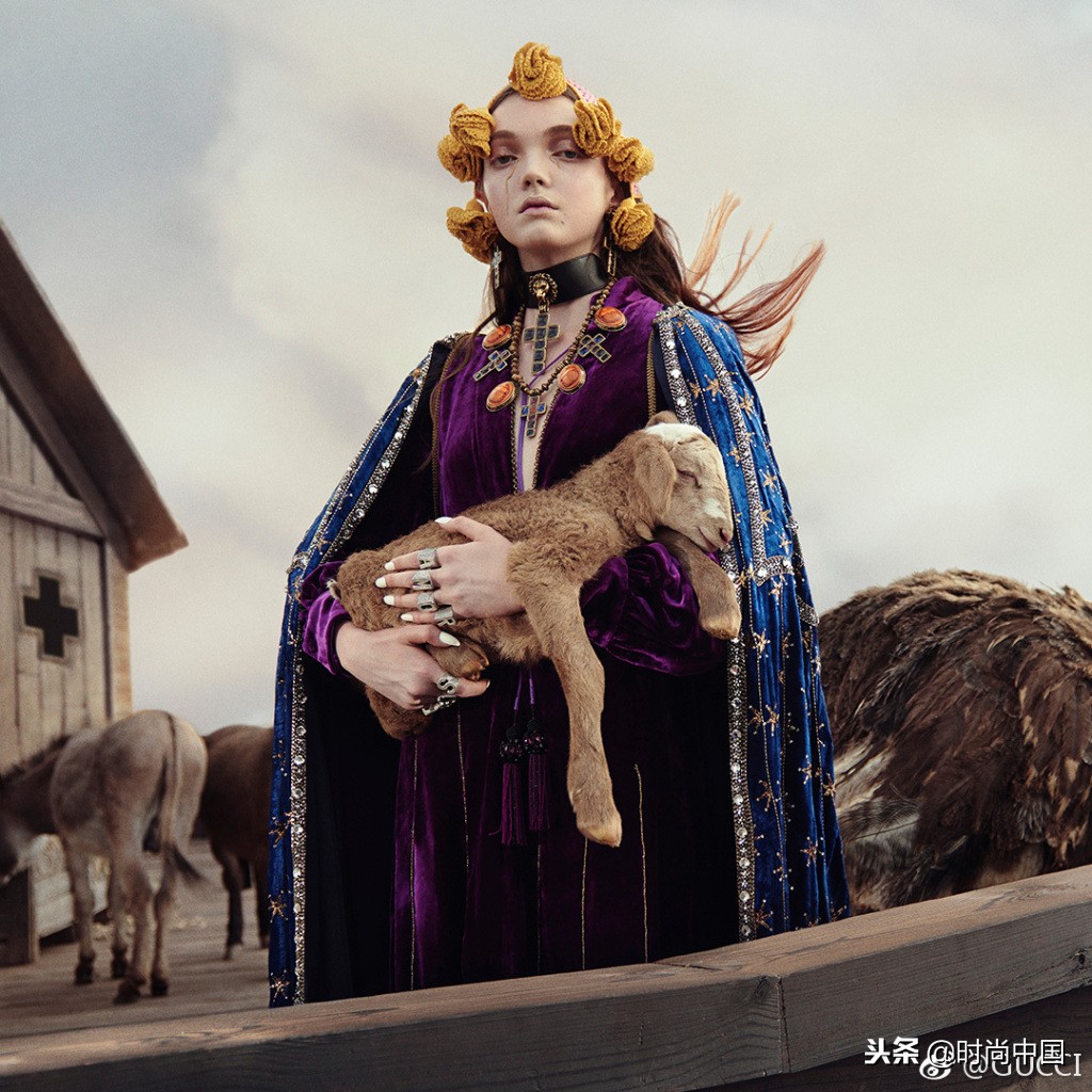 倪妮同款小猫咪,倪妮李宇春奇妙的动物