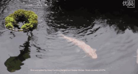 让上海人崩溃的“你是什么垃圾”，早在16年前就被这些村民解决了