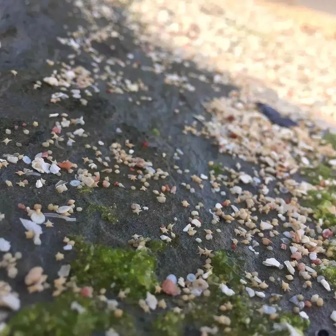 冲绳有啥,冲绳有没有啥