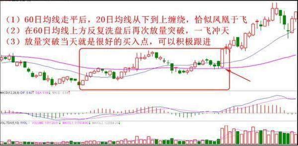 强势黑马股的选股方法,黑马股精准定位技巧