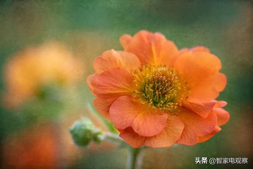 家用中央空调中国市场前景,中央空调当下趋势