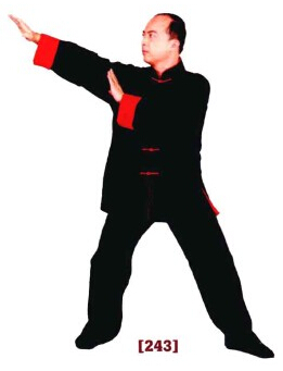 咏春拳入门十二散手,咏春拳标指教学视频