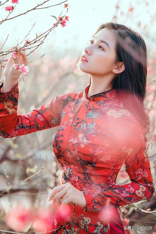 越南文化中国服饰,越南传统文化服饰