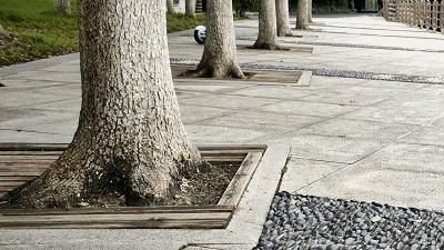 巅峰极速最高时速135的车有哪些,乐行天下v14adventure平衡车