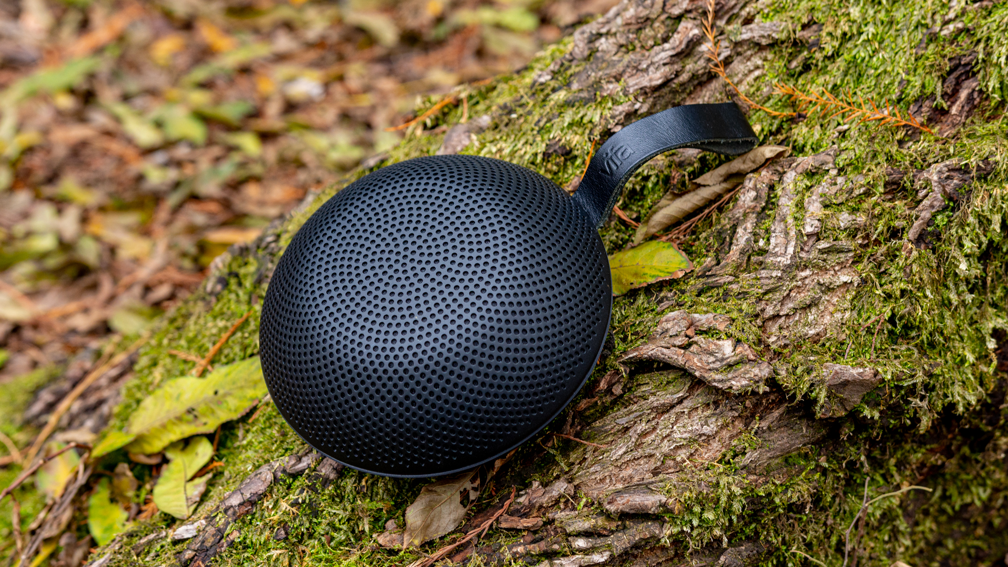 雷克雅未克蓝牙音箱评测,vifa雷克雅未克防水吗