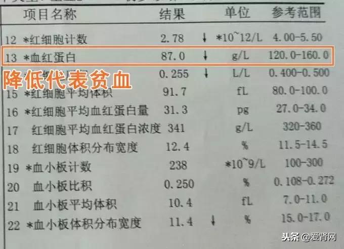 复查心里没底?简单易懂的肾内科检查解读,给每一位需要的肾友
