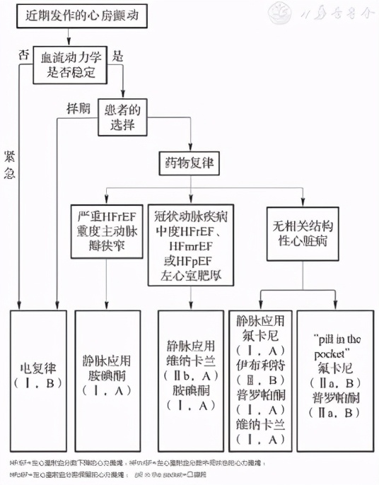 疫情下的房颤管理方法,房颤管理基本知识