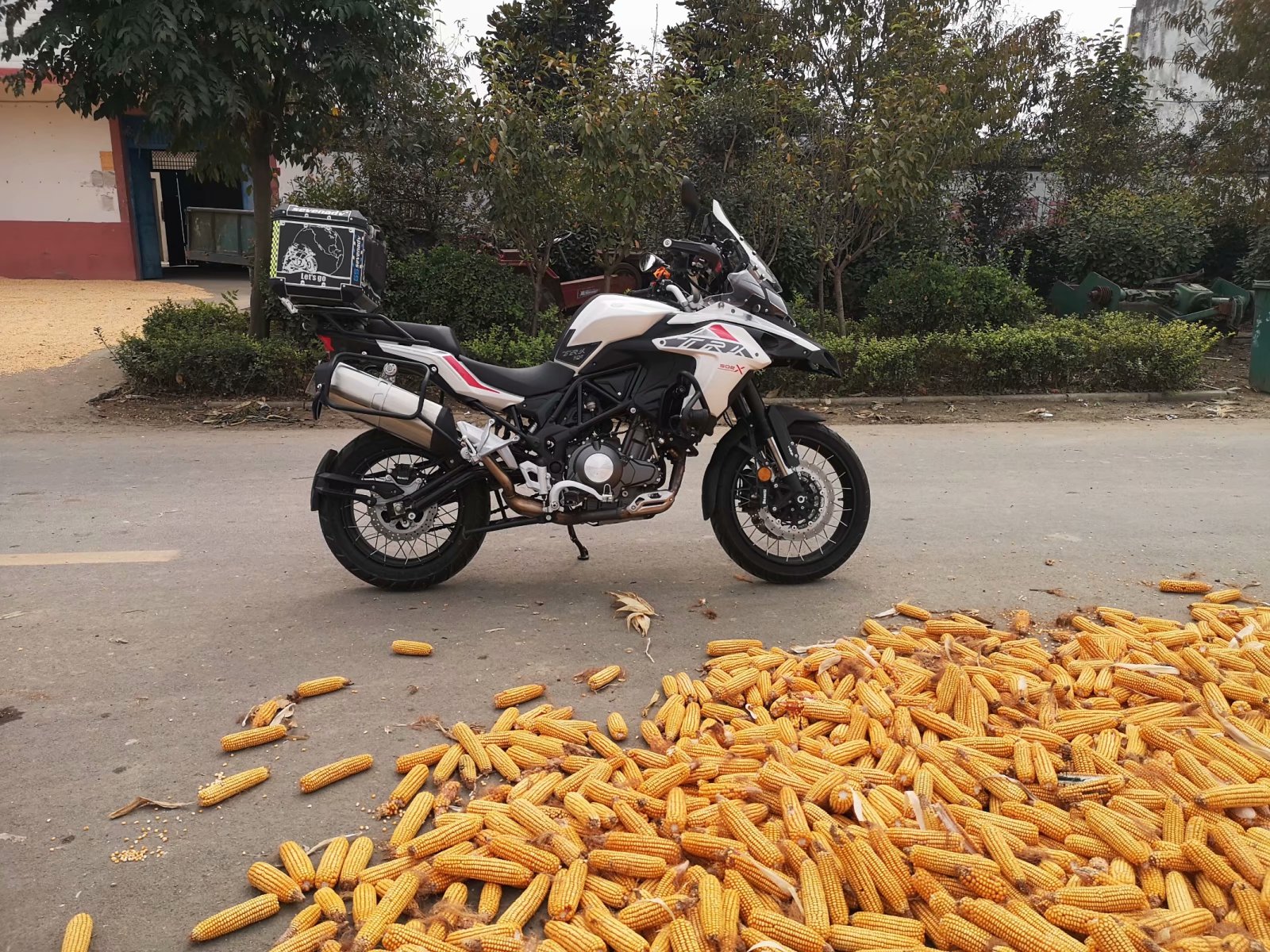 俞伯牙墓为什么在固镇,俞伯牙墓出土