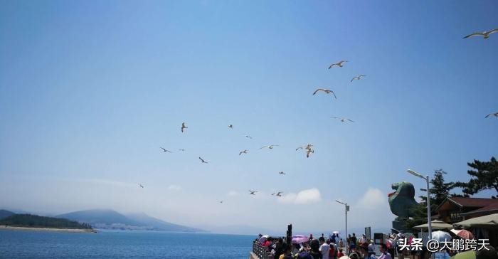 大连海鲜是全国最好的吗,大连海鲜有名的原因