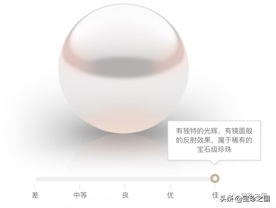 智识珍珠07|南洋白珠：珍珠界的“禁欲系”代表