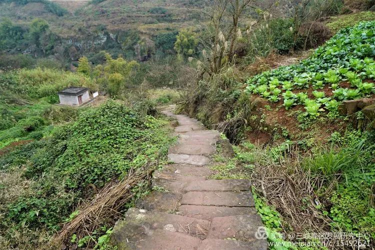 北碚复兴镇最近的视频,重庆市北碚龙门桥