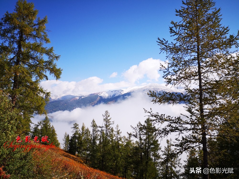 襄阳姐姐游北疆（七）：喀纳斯的惊叹号观鱼台