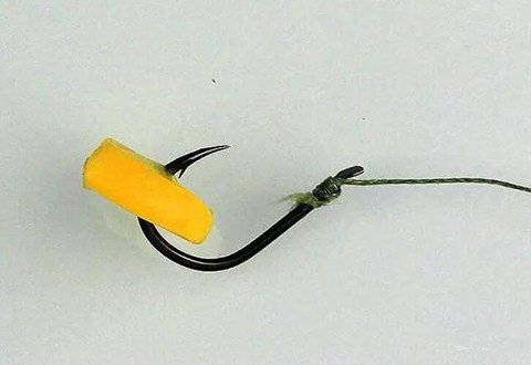 防止小鱼闹窝最有效的4大套路,小鱼闹窝厉害怎么解决