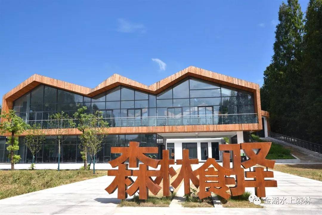 亲子游推荐地金湖水上森林景区,金湖水上森林景区攻略视频