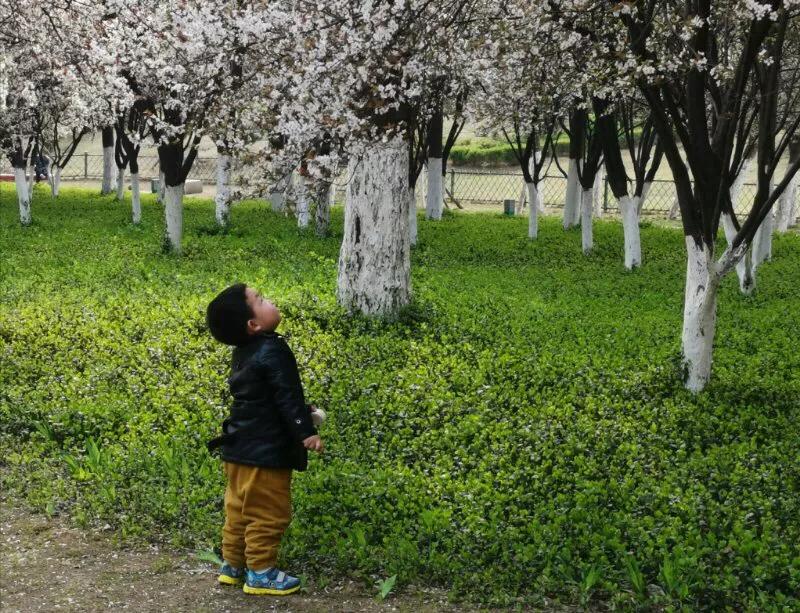 2022年世界手机摄影大赛征稿,手拍世界摄影网