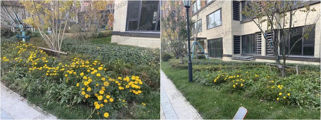 交房最新楼盘,交房楼盘迎大考满意答卷