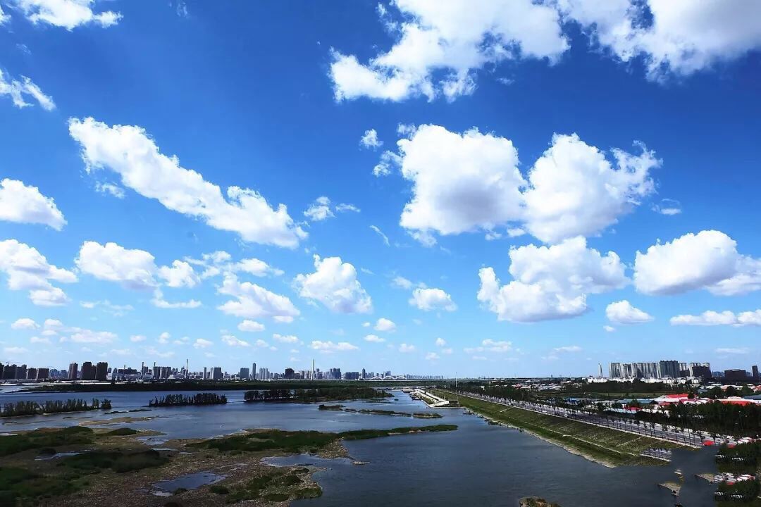 孙名齐：哈尔滨，一座年轻但绝不青涩的浪漫都市