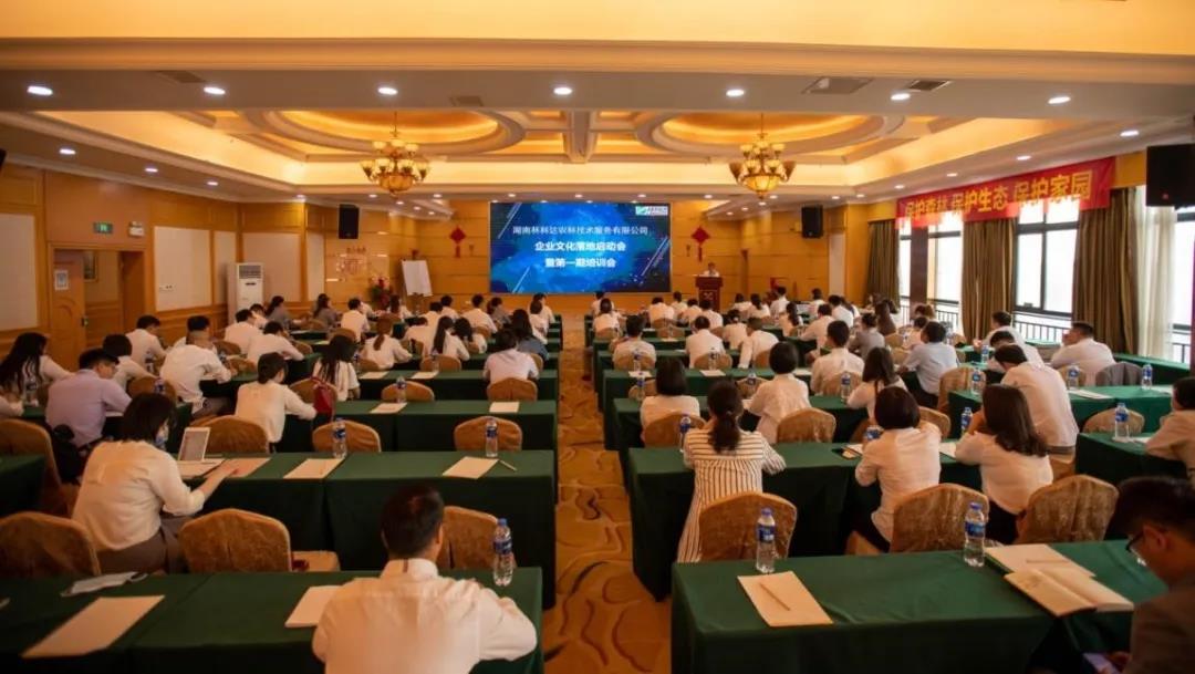 绁炲窞鑻辨墠浼佷笟鏂囧寲,绁炲窞鑻辨墠鍔╁姏涓浗