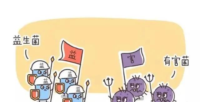 这几种液态的益生菌作用好，但不能多吃，你可能也吃过！