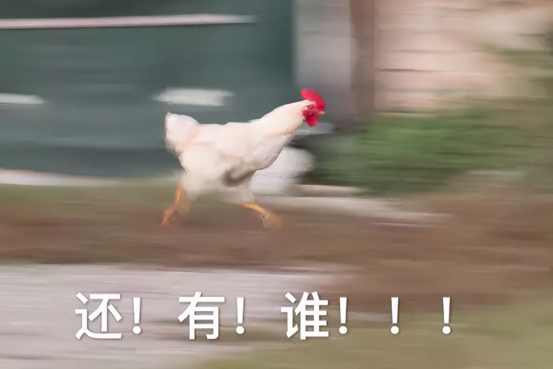 留学生过海关不能带什么,留学生回国海关行李怎么办