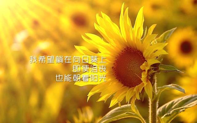 逃出亚卡拉越狱成功后续,越狱电影鼻祖逃出亚卡拉