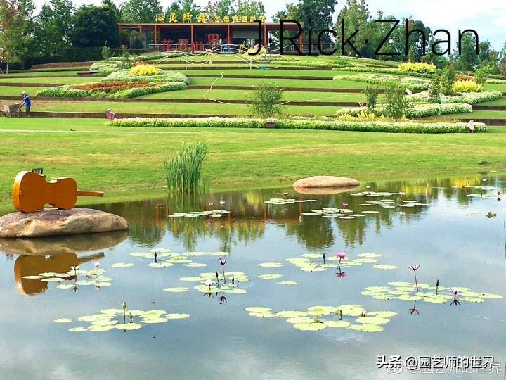 适合北方庭院种植的低矮草坪,家庭庭院怎样混搭种植草坪和蔬菜